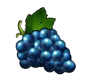 Uva